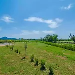 Can Gusti - Villa With Private Pool In Manacor